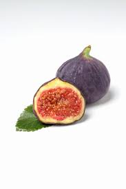 Fig